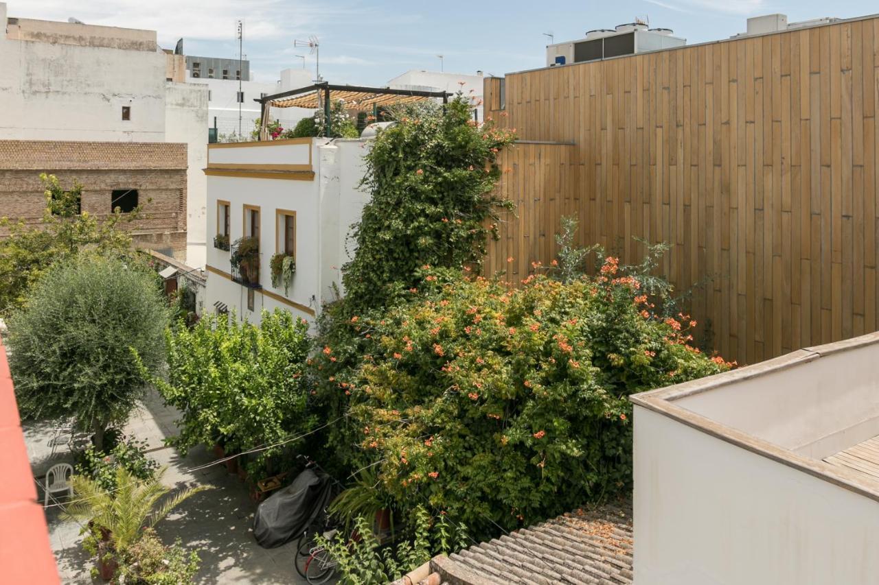 La Casa Del Alfarero Séville